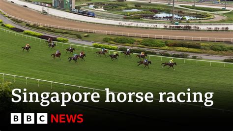 singapore race horse result